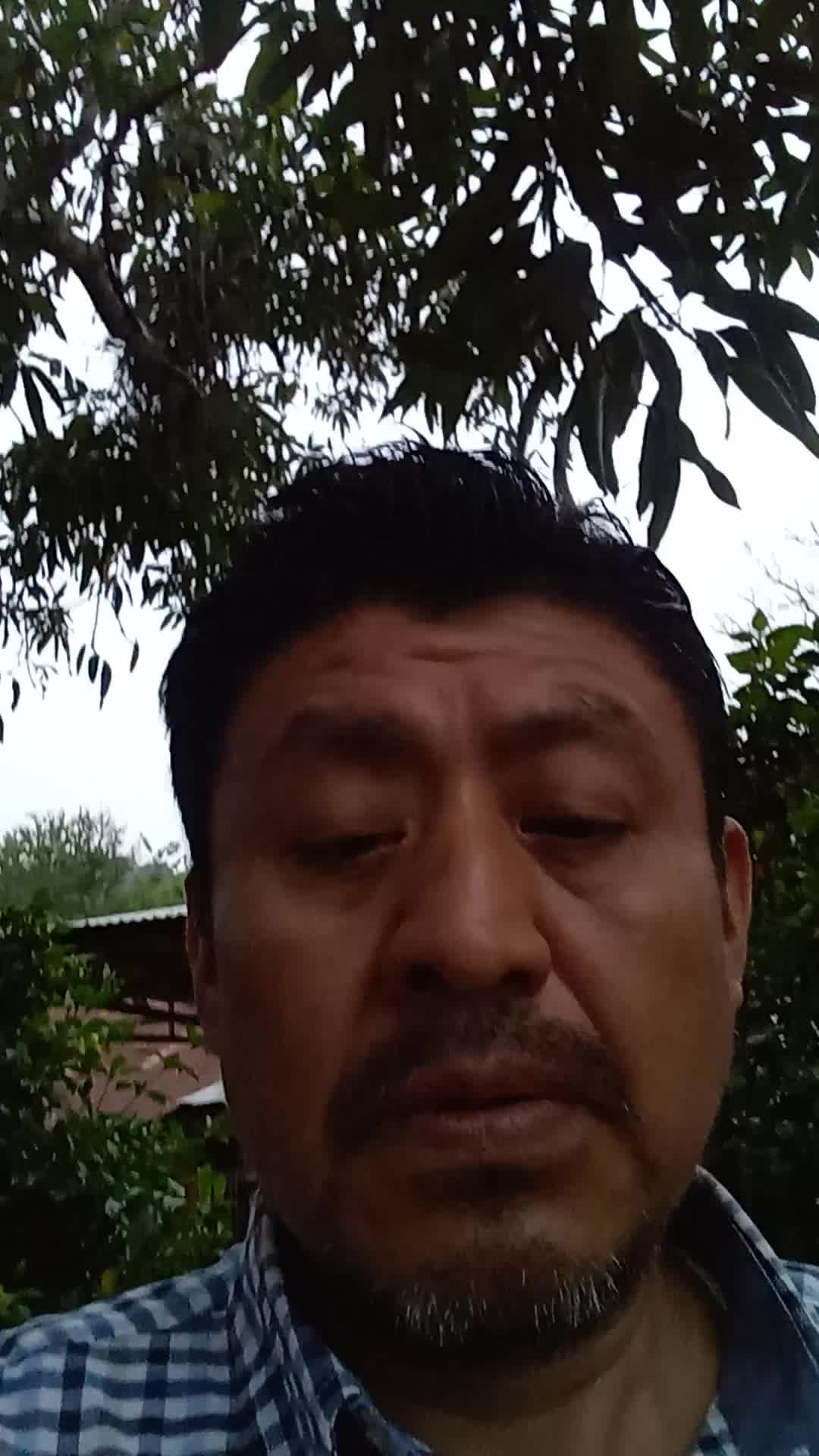 Miniatura del video de Crisoforo dionisio martinez